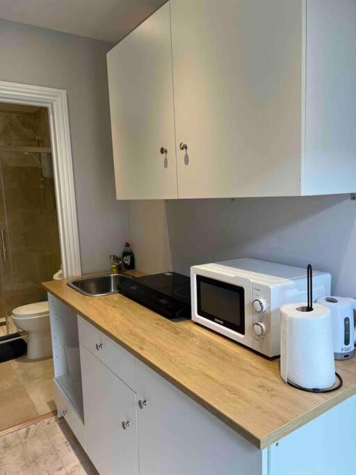 Newly Built Large Garden Ensuite Guest Studio Borehamwood Exterior photo