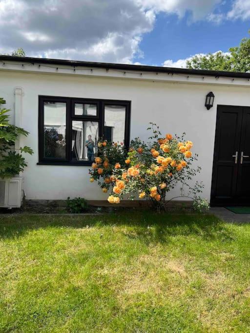 Newly Built Large Garden Ensuite Guest Studio Borehamwood Exterior photo